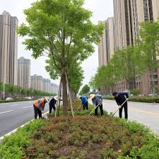 世界杯官网 德阳城市绿化工程施工及验收规范最新